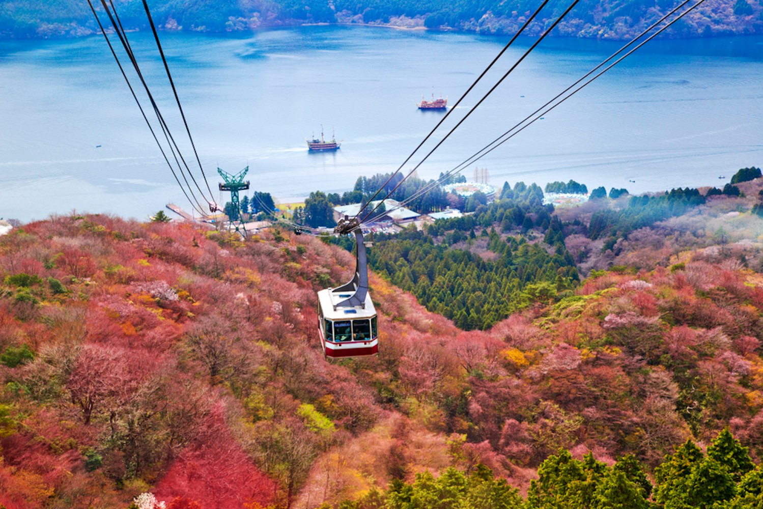 Hakone Day Trip: How to Escape the City and Enjoy Nature - Trip To Japan
