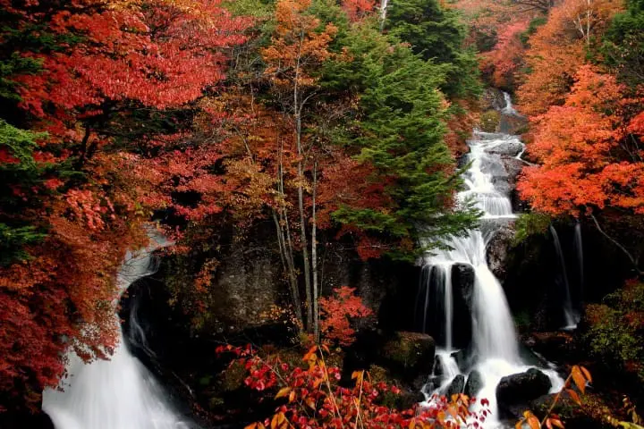 Ayo Berwisata Sehari Menikmati Indahnya Momiji saat Musim Gugur di Nikko! -  MATCHA Situs Wisata Jepang
