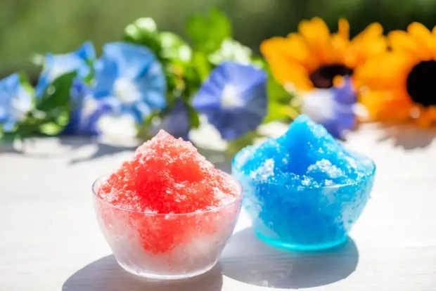 Summer Snacks: Five Unique Ones to Try! - TokyoTreat Blog