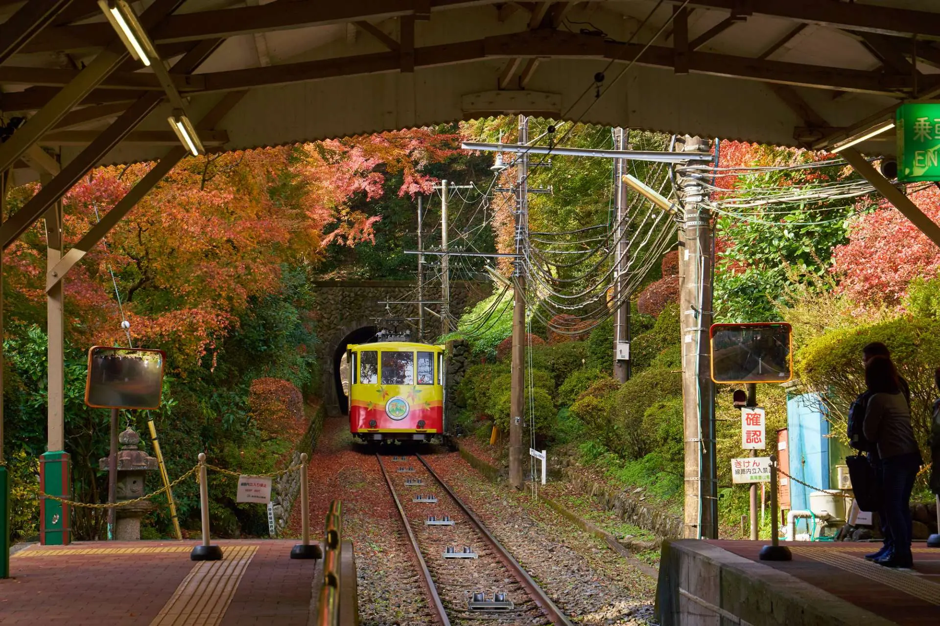 Foliage guide at Mount Takao: The foliage hiking guide to fully enjoy Mount  Takao in autumn | GOOD LUCK TRIP