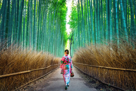 Kyoto: Top 8 Kimono Rental Shops and Popular Photo Spots in 2025 - Japan  Travel Guide MATCHA