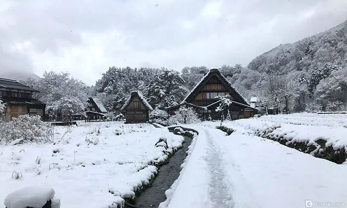 Local Tips: Shirakawago's Light Up Event | Centrip JAPAN