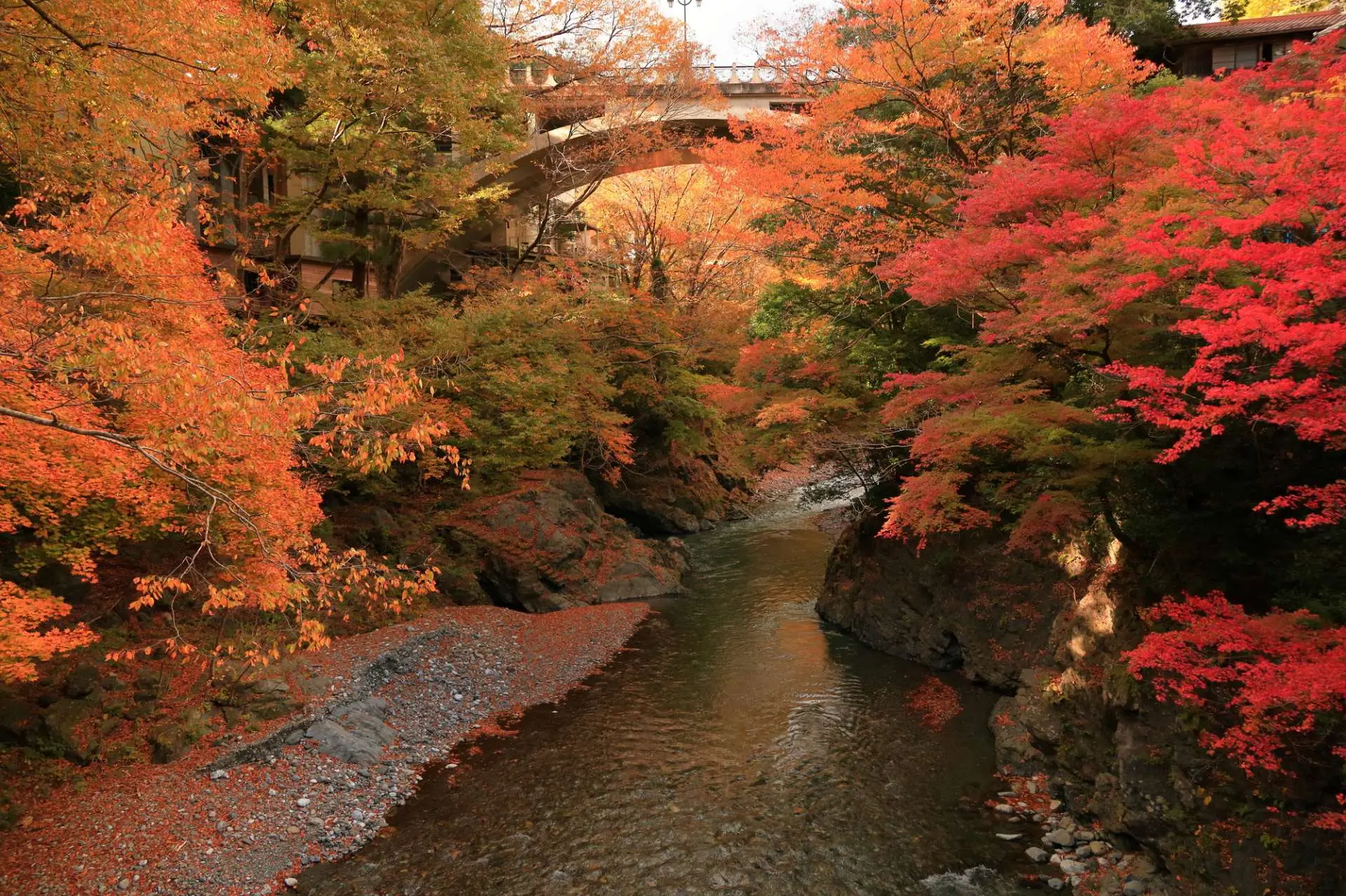 Discover the Best Spots for Autumn Foliage: a Guide to Enjoying Fall Colors  in Tokyo | GOOD LUCK TRIP