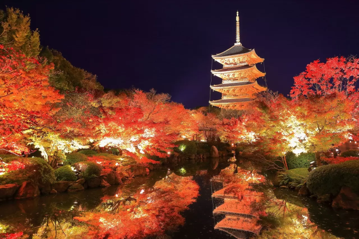 Kyoto Fall Foliage 2025: The 12 Best Spots for Autumn Colors - Japan Travel  Guide MATCHA
