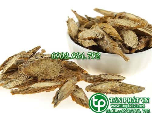 Địa chỉ bán dây đau xương tại hcm