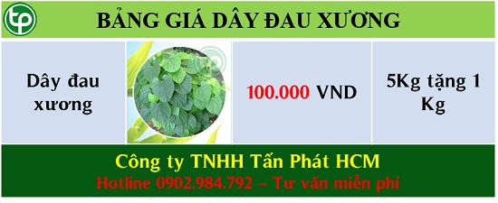 giá bán dây đau xương tại tphcm