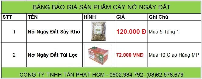 giá bán cây nở ngày đất tại tphcm