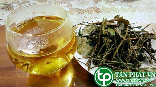 địa chỉ bán cao chè vằng tại tphcm