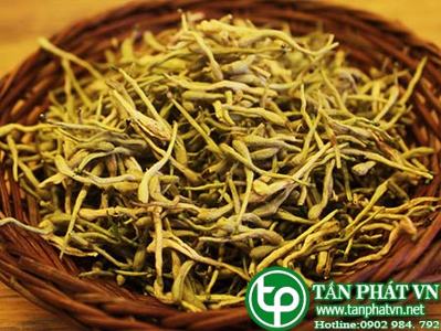 bán kim ngân hoa tại tphcm