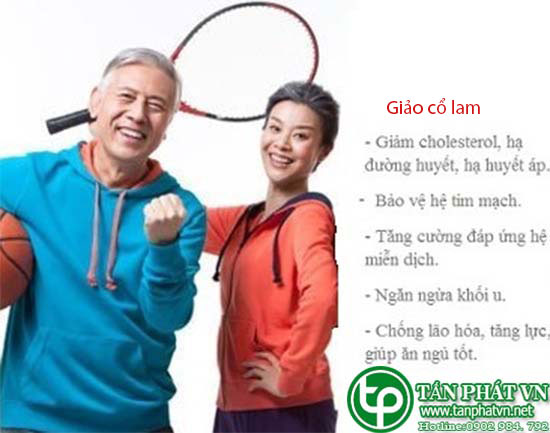 Những công dụng của chè dây sapa