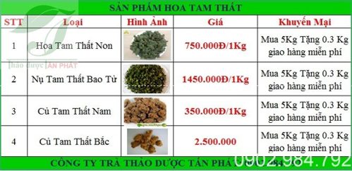 Bảng giá bán củ tam thất bắc tại tphcm