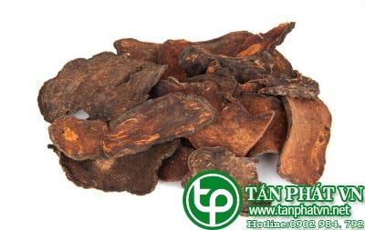 địa chỉ bán hà thủ ô tại tphcm bổ khí huyết