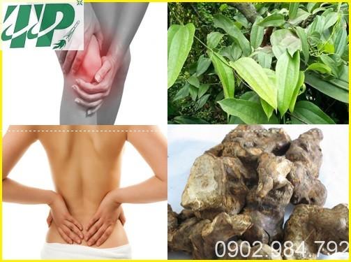 Địa chỉ bán củ khúc khắc tại tphcm