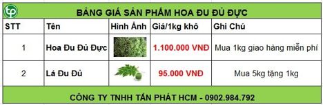 Giá hoa đu đủ đực tại tphcm chữa bệnh ung thư
