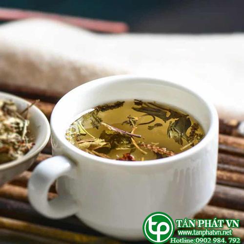 Mã đề tấn phát