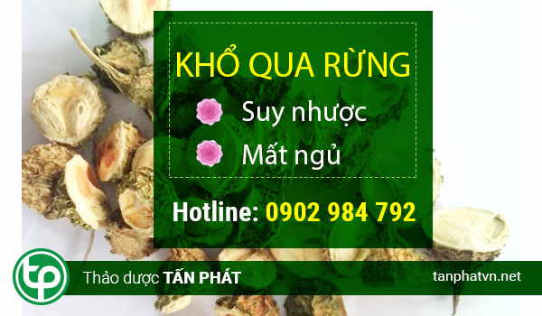 Địa chỉ bán khổ qua rừng tại tphcm giúp điều trị tiểu đường