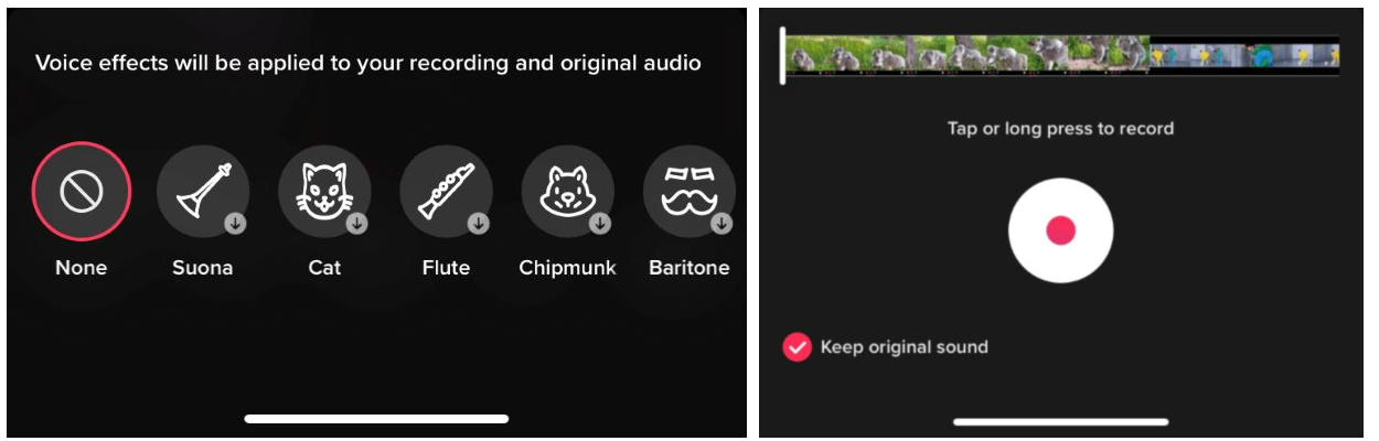 Some voice effects include cat, flute, chipmunk, and baritone.