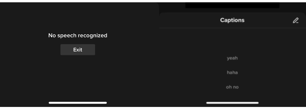 The app lets you know if there is no speech recognized.
