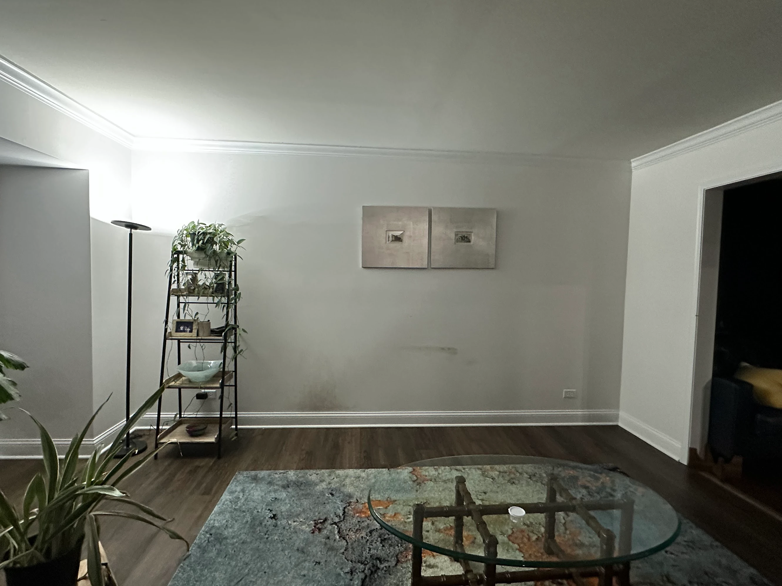 before living room picture