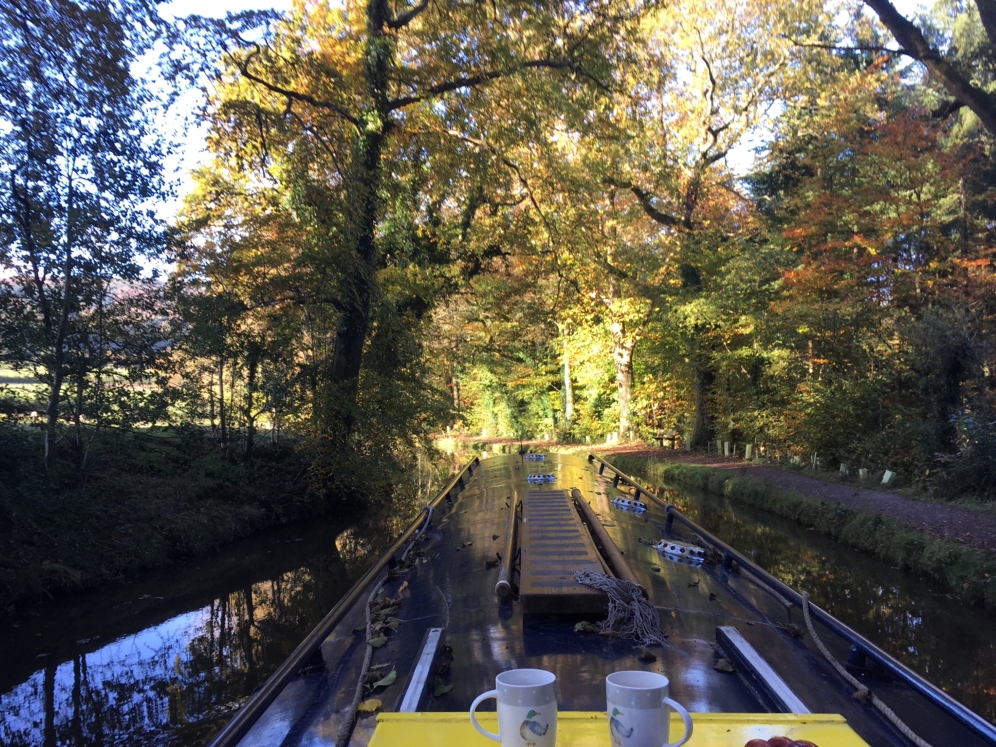 So glad we finally did it!