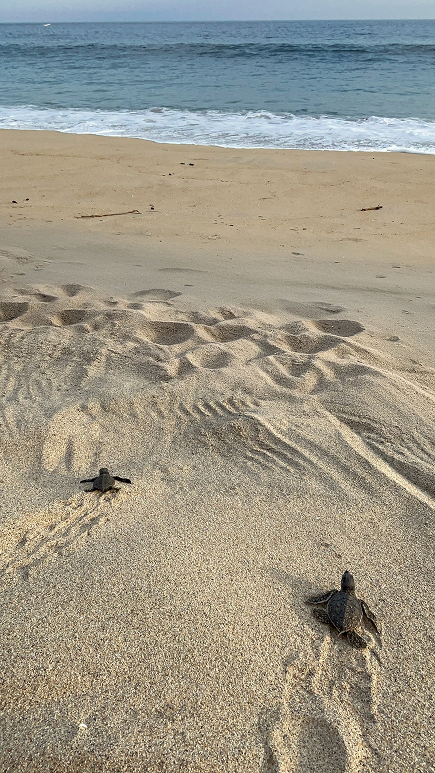 The Lento Way Slide 2