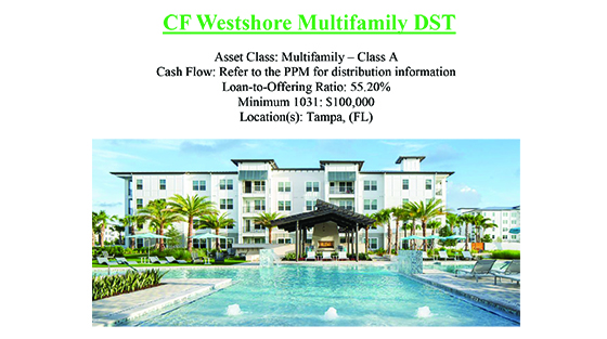Modern multifamily apartment complex with a large swimming pool, palm trees, and lounge chairs in Tampa, Florida.
