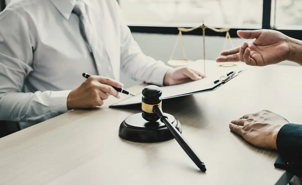 lawyer giving legal extradition advice