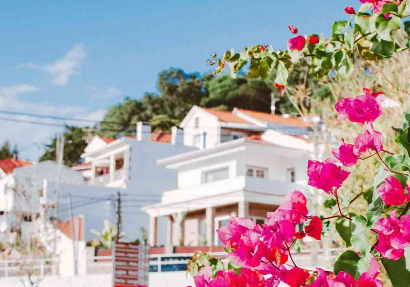 Portugal D2 Startup Visa: Your Guide in 2026