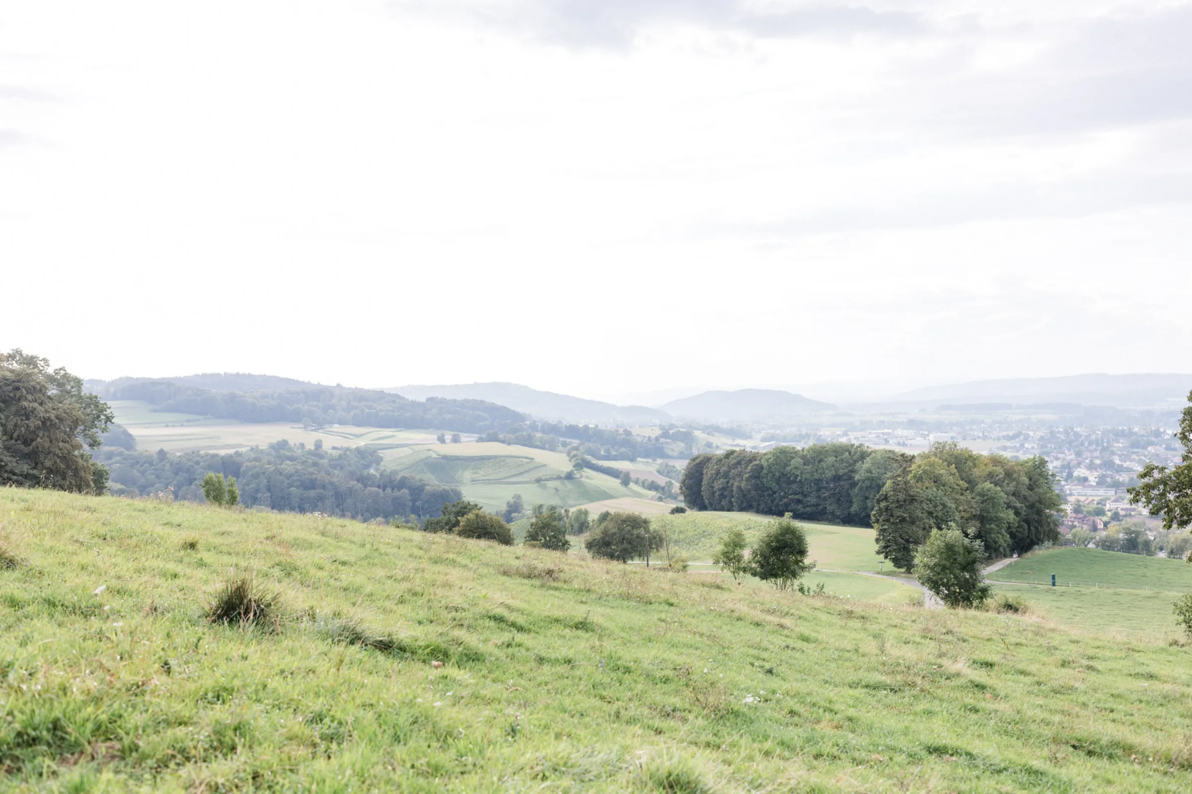 Hochzeitsfotograf Schloss Freudenfels Thurgau Miriam Marco