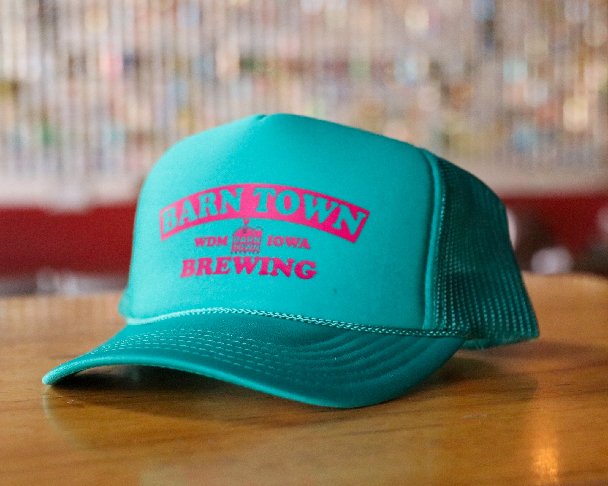 Barn Town Trucker Hat - Teal & Pink