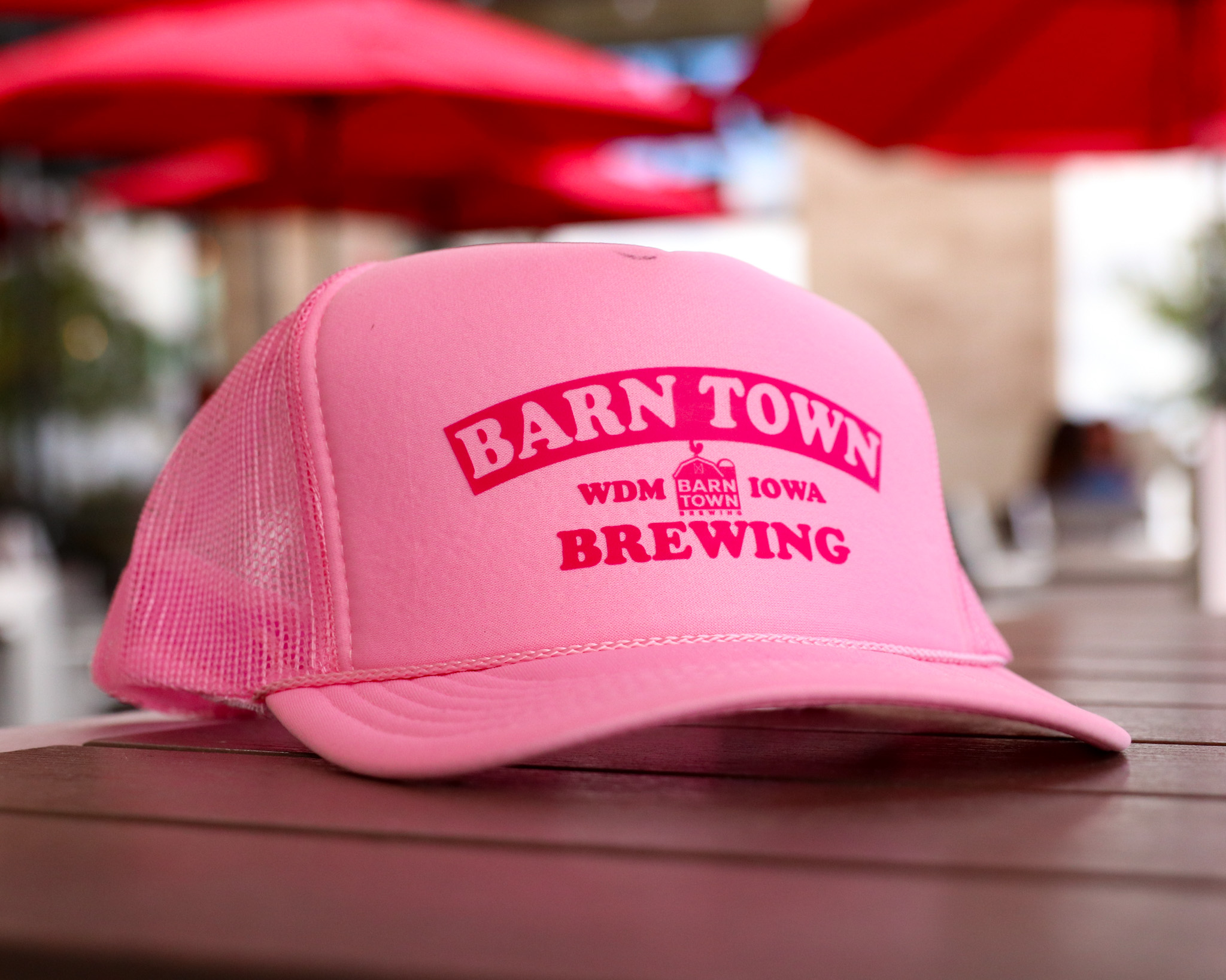 Barn Town Trucker Hat - Pink & Pink
