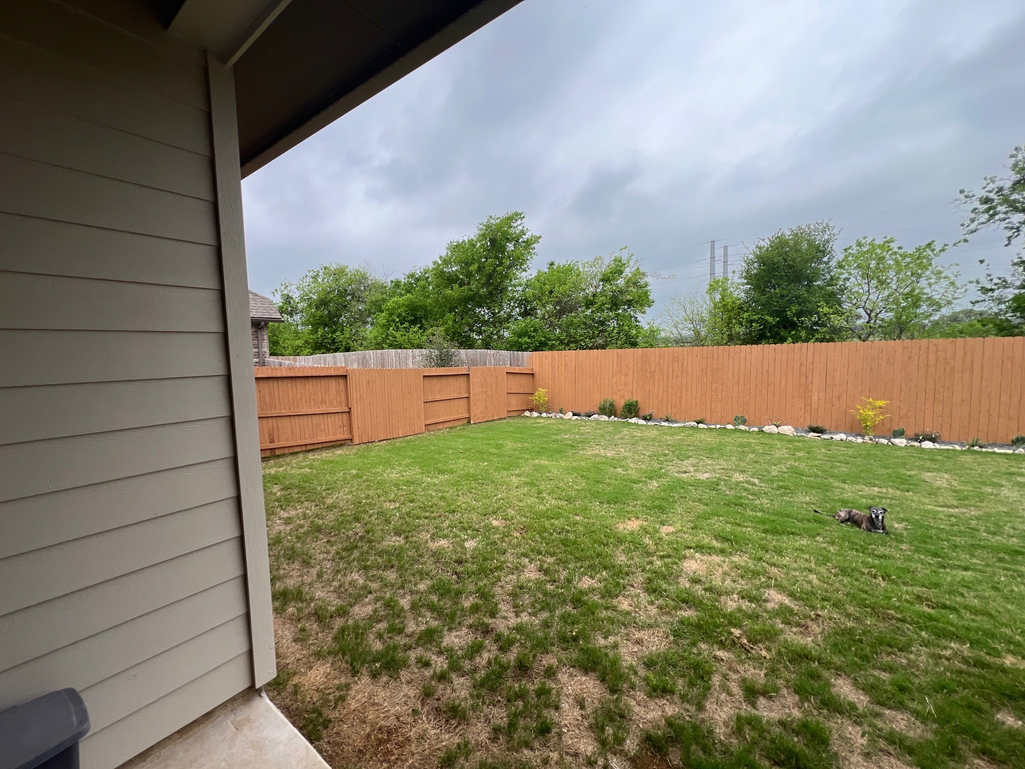 Rear view of home back yard without any modifications and a dog laying in the middle of the empty yard.
