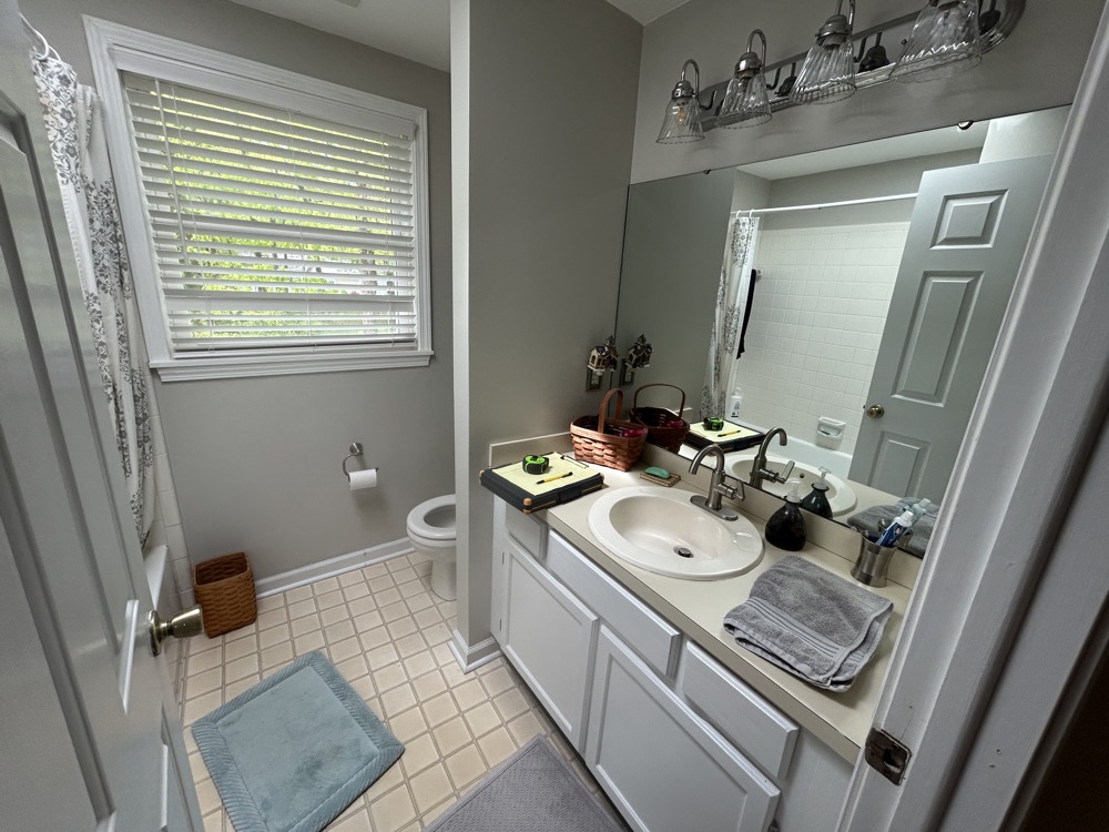 A view showing the bathroom before we removed all contents.