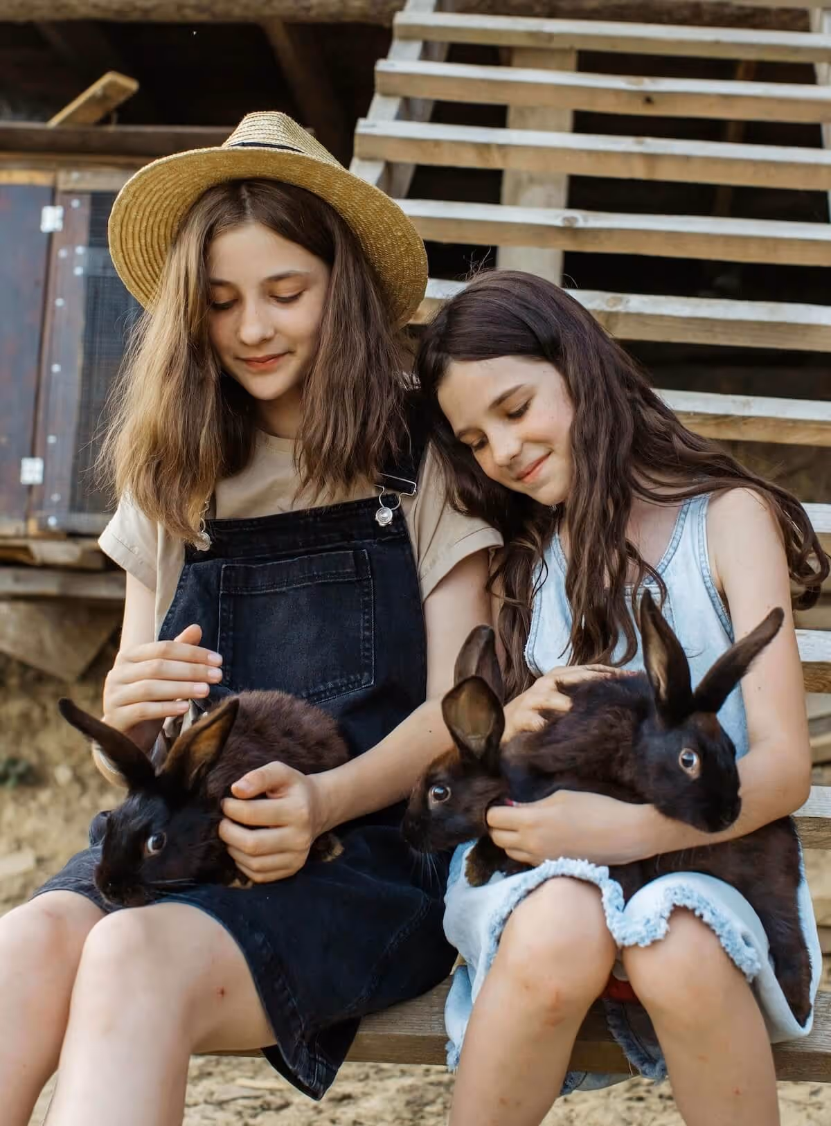 Two girls sitting outdoors, gently holding black rabbits, with a rustic wooden structure and stairs in the background, illustrating family engagement in livestock care through the FarmKeep app for 4-H projects.