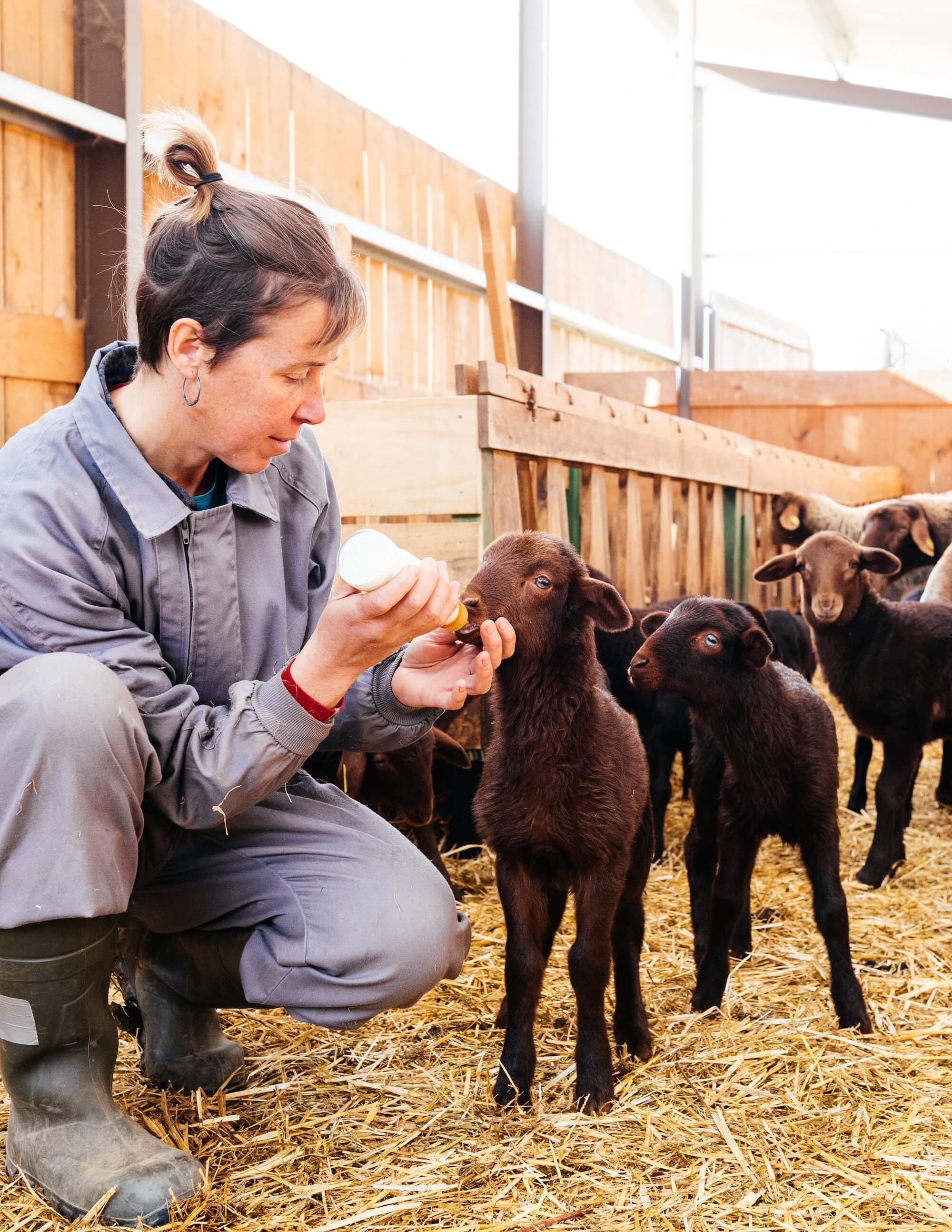 FarmKeep helps organize farms and homesteads