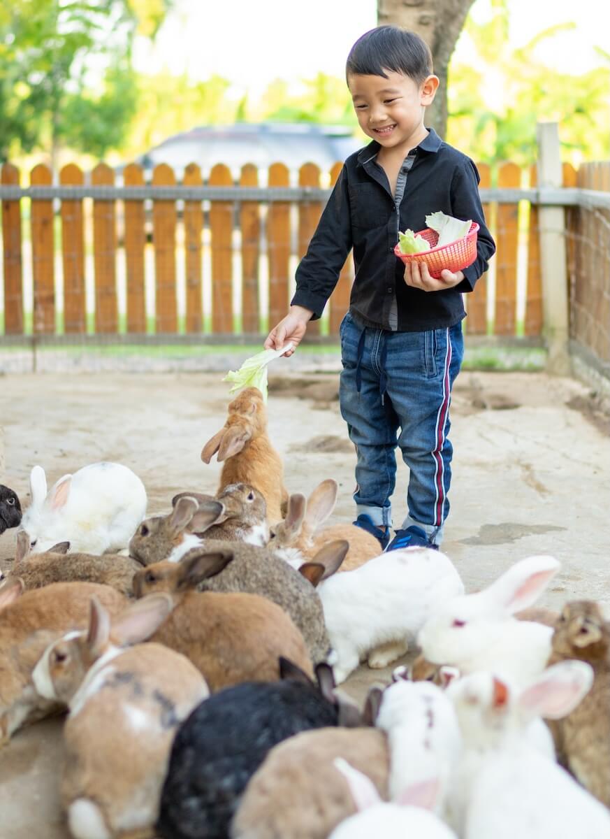 FarmKeep helps organize farms and homesteads