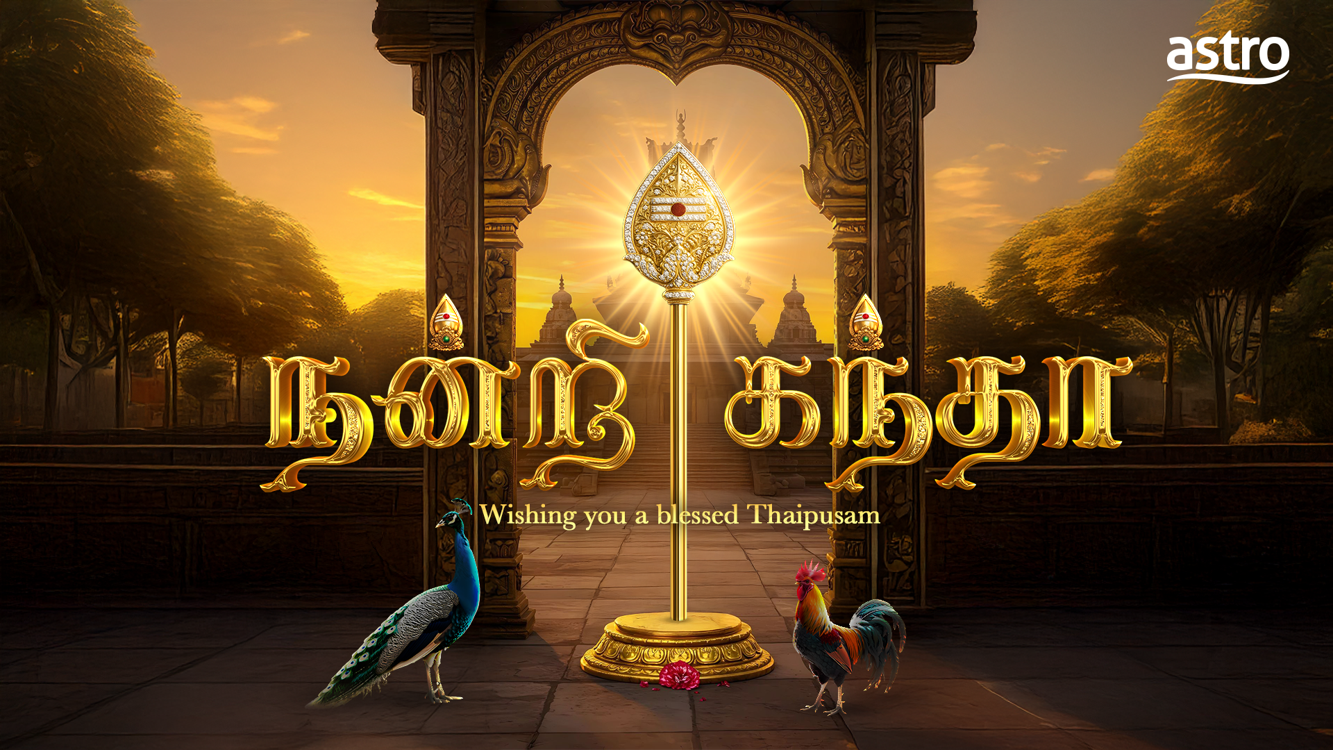 Celebrate the vibrant spirit of Thaipusam with 3 day live coverage only on Astro from 30 January to 1 February