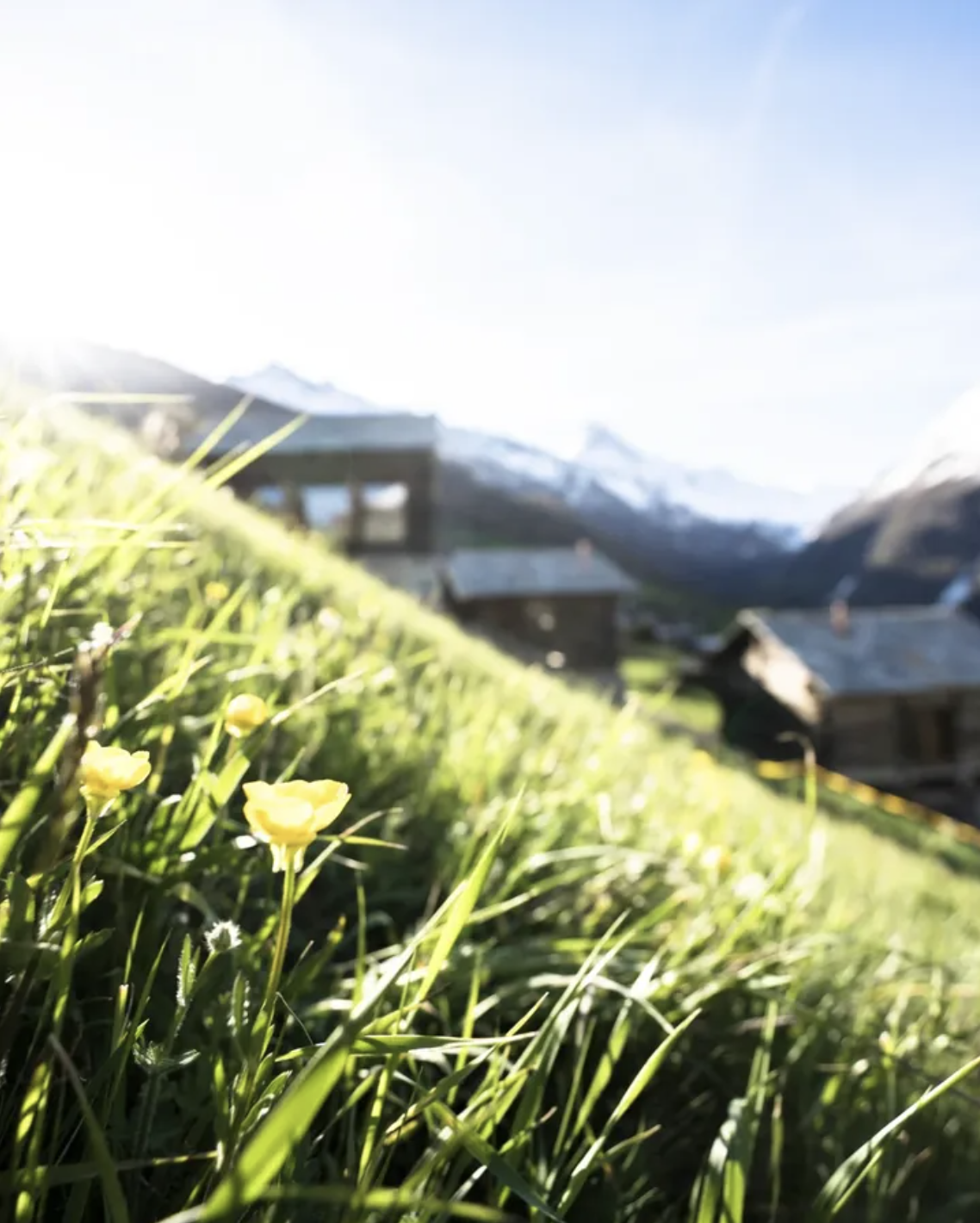 SUISSE : ANAKOLODGE