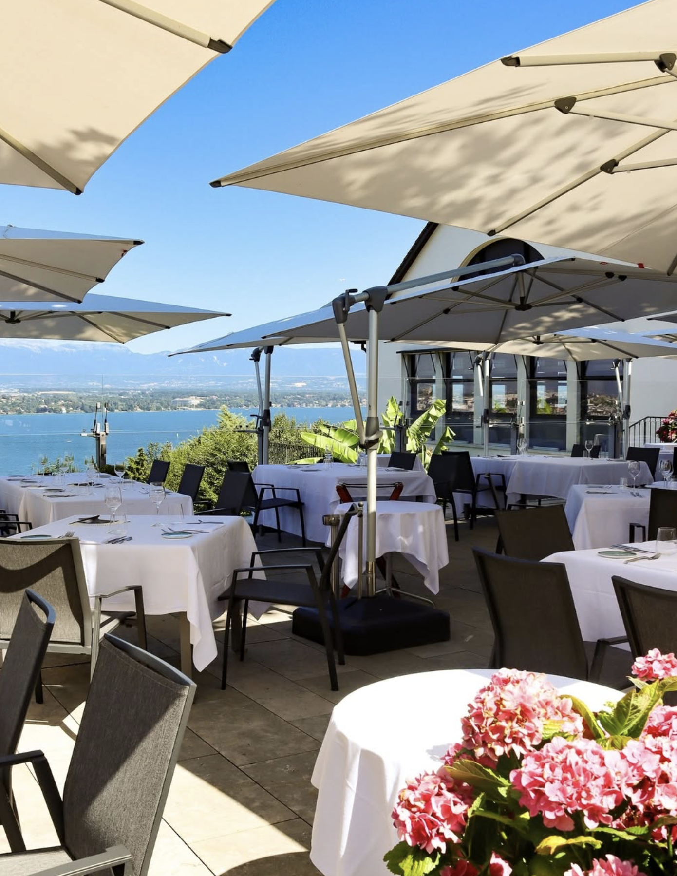 SWITZERLAND : LE LION D'OR