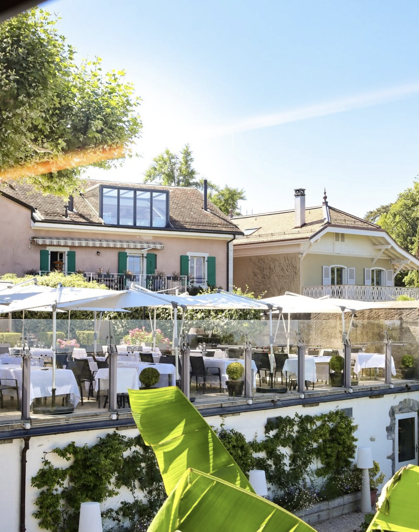 SWITZERLAND : LE LION D'OR