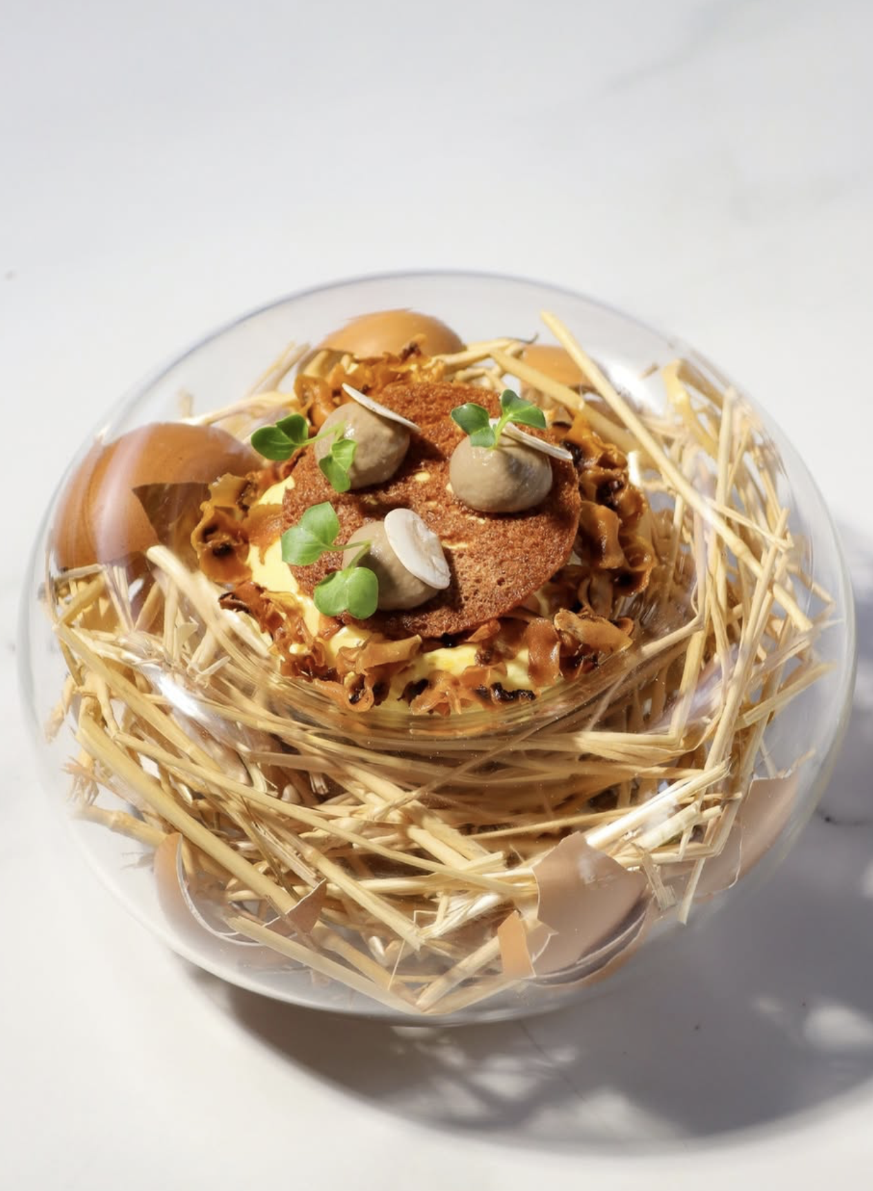 SWITZERLAND : LE LION D'OR