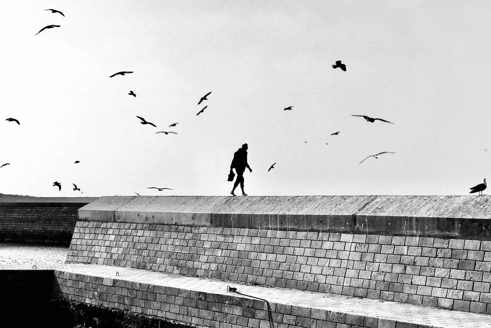 Marie-Maud Chaloyard