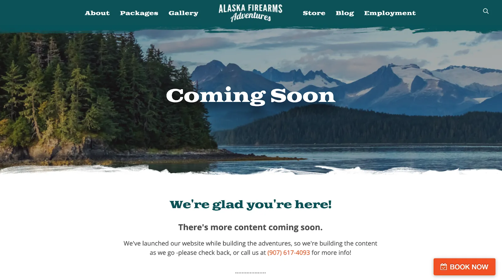 Alaska firearms landing page