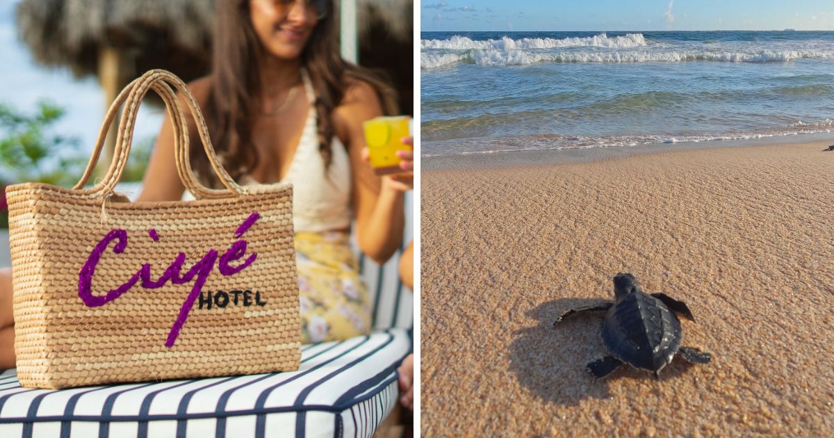 bolsa y tortuga