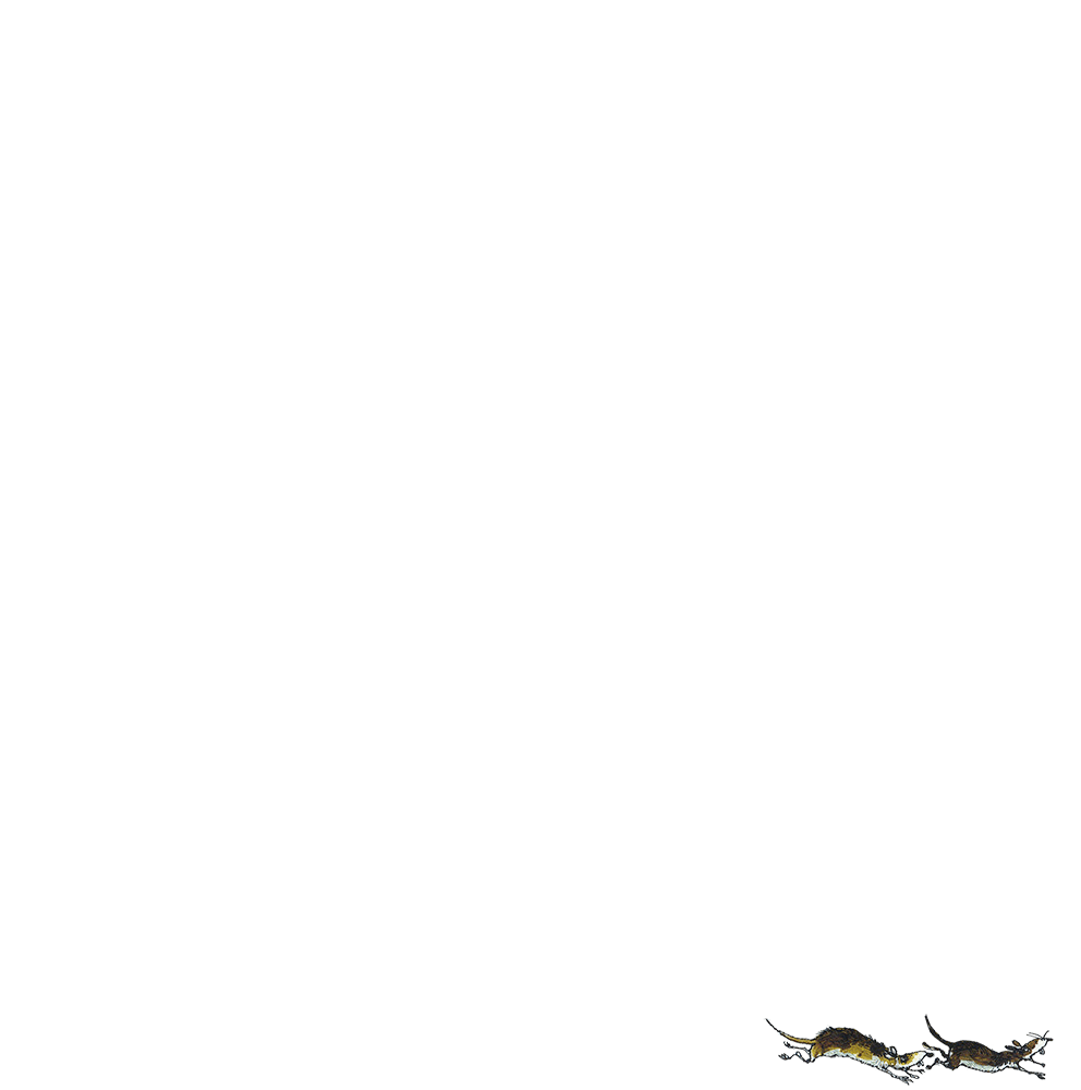 Blackbeard The Pirate