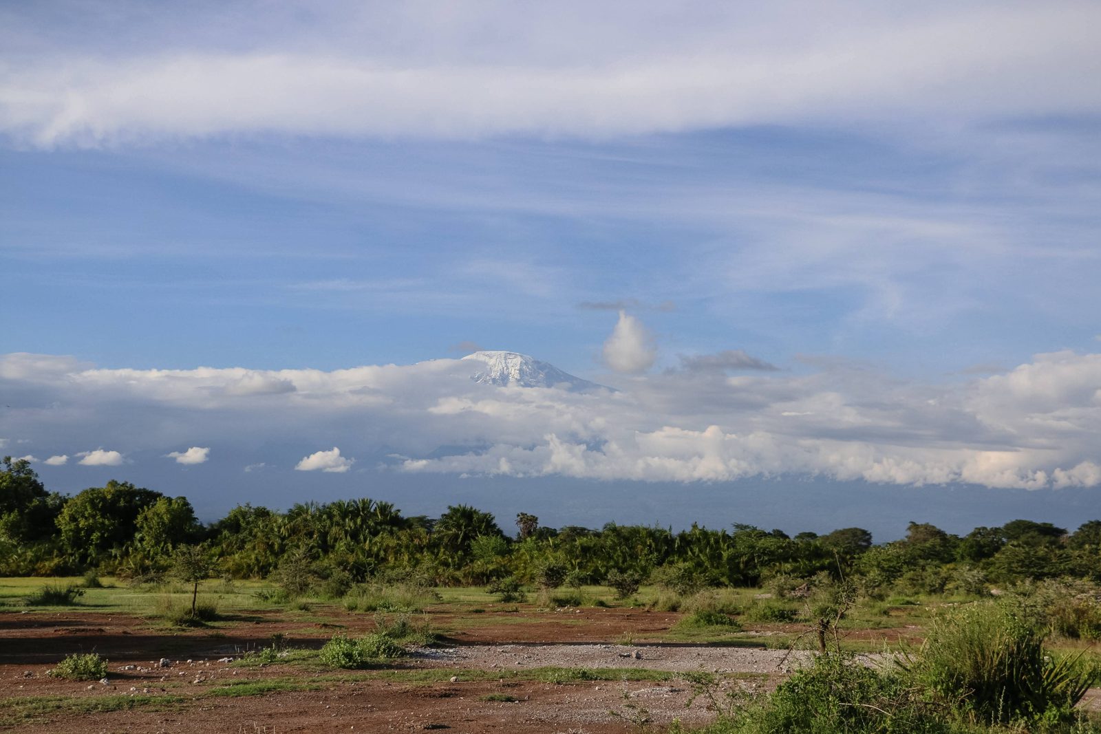 De Kilimanjaro vanaf het project