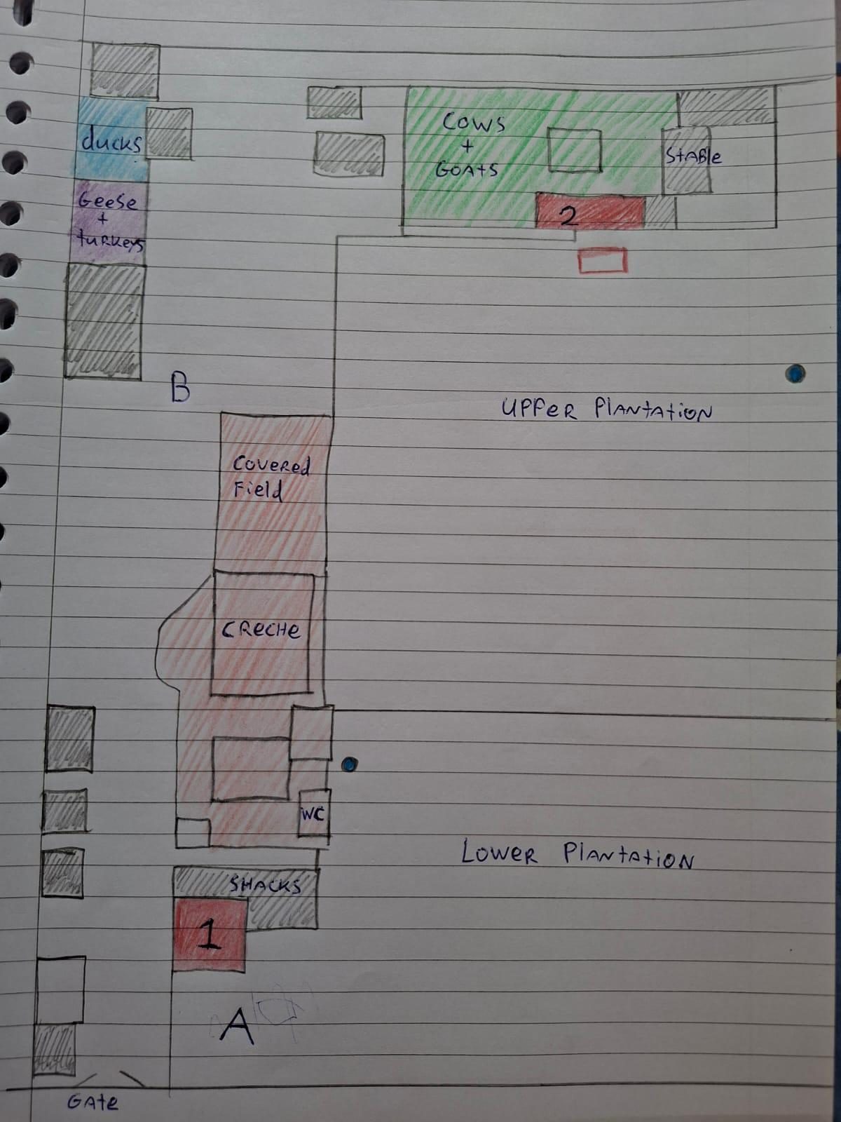Jonas’ schets van de indeling van de plantages