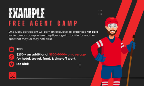 mock example of minor pro hockey league free agent camp
