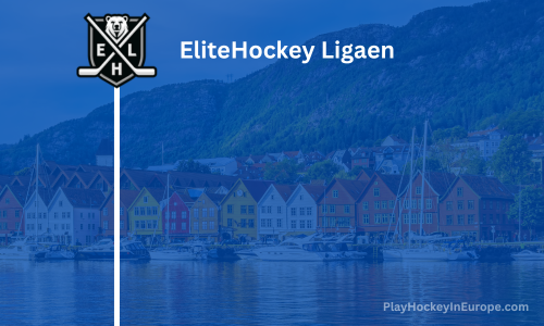 EliteHockey Ligaen (EHL) level of league