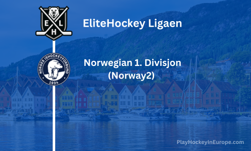 norway2 hockey level image